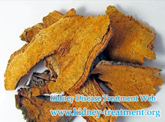 Edema and FSGS How Does Herbal Medicine Relieve This Problem
