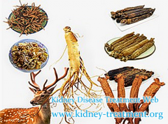 Lupus Nephritis and GFR 26% What Should We Do To Prevent Dialysis