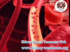 Nephrotic Syndrome with Creatinine 217 How to Improve Hemoglobin Level