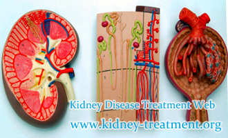 Diabetic Nephropathy How to Avoid the Exacerbation