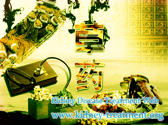 Herbal Therapy Can Be Used to Repair the Kidney Function