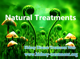 Natural Treatments to IgA Nephropathy with Creatinine 430