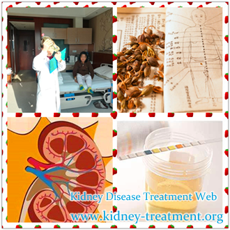 What Can We Do with Protein in Urine 1400 In CKD