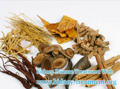 Chinese Herbal Medicine to Vomiting in FSGS with Creatinine 4.6