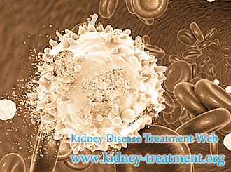 Anemia and Creatinine 6 in CKD Is Controlled with Natural Treatment