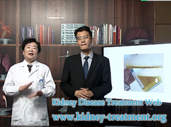 Protein Urine in Nephrotic Syndrome Would It Be Cured