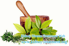 Is There Any Kind of Herb That Slow Down CKD for Preventing dialysis