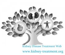 Shrink The Kidney Cyst With Herbal Medicines