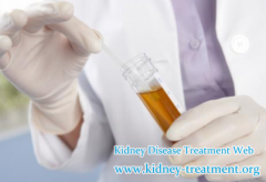 How to Prevent the Diabetic Nephropathy Develop to the Renal Failure