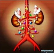 What Are the Clinical Symptoms And Manifestations of Glomerulonephritis?