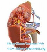 What Is the Main Reason Of Diabetic Nephropathy And How To Deal It