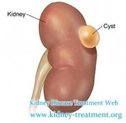 Where We Can Get The Donated Kidney And How To Avoid Transplant