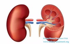 The Etiology Of Chronic Renal Failure In Western Medicine