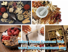 How To Take Good Use Of Chinese Herbal Medicine To Treat Kidney Disease