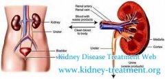 Some Symptoms Of Hypertensive Nephropathy To Help You Know It Well