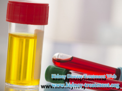 The High Creatinine Level May Cause Nausea And Vommiting