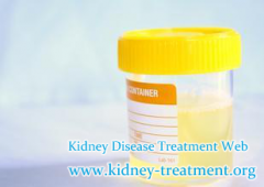 Can Soda Powder Help Delay The Renal Failure