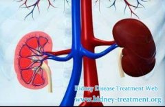 Urinary Track Infection Is The Common Symptom For Kidney Cyst Patients