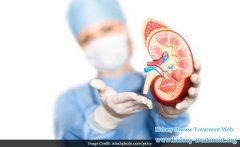 The Nephropathy Patient With High Or Low Fever Should Be Cared