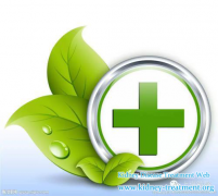 The Commone Causes Of Nephritis Are Important To Patients