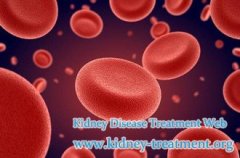 Why Chronic Kidney Disease Can Not Be Cured